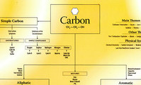 Chart of Carbon Remedies, Roger Morrison