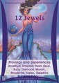 Zwölf Juwelen / 12 Jewels. Provings and experiences of gems in homeopathy - 11 CD's, Peter L. Tumminello