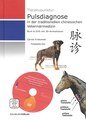 Pulsdiagnose in der chinesischen Veterinärmedizin - Buch & DVD, Carola Krokowski