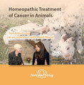Homeopathic Treatment of Cancer in Animals - 1 DVD, Sue Armstrong