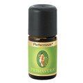 Pfefferminze Primavera - 5 ml