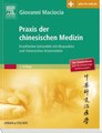 Praxis der chinesischen Medizin - Studienausgabe, Giovanni Maciocia