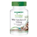 Wild Yam Extrakt 500 mg - 90 Kapseln