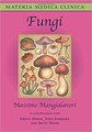 Fungi, Massimo Mangialavori
