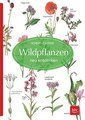 Wildpflanzen neu entdecken, Gertrud Scherf / Claus Caspari