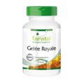 Gelee Royale Extrakt 500 mg - 90 Kapseln