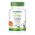 NADH 50 mg - Fairvital - 60 capsules
