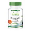 Bromelain 750 mg - 120 Kapseln (DRCaps®)