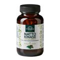 Nattokinase - 100 mg / 2000 FU pro Tagesdosis - 120 Kapseln - von Unimedica
