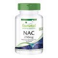 NAC 250 mg - N-Acetyl-Cystein - 90 Kapseln