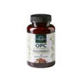 OPC Pinienrinden Extrakt + Vitamin C - 500 mg pro Tagesdosis - davon 475 mg OPC pro Tagesdosis (1 Kapsel) - 120 Kapseln - von Unimedica