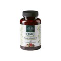 OPC Pinienrinden Extrakt + Vitamin C - 500 mg pro Tagesdosis - davon 475 mg OPC pro Tagesdosis - 120 Kapseln - von Unimedica