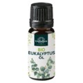 Bio Eukalyptus - Ätherisches Öl - 10 ml - von Unimedica