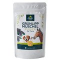 Grünlippmuschel Pulver für Tiere - Hunde, Katzen, Pferde - Perna canaliculus - naturrein - 250 g - Einzelfuttermittel - von Uniterra