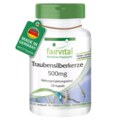 Traubensilberkerze Extrakt 500 mg - Fairvital - 120 Kapseln