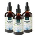 Lot de 3: Bleu de méthylène  solution aqueuse à 1 % - pureté de 99,8 %  - exempt de métaux lourds - 3 x 100 ml  par Unimedica