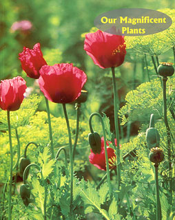 Our Magnificent Plants/Rupal Desai