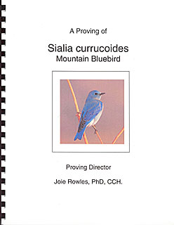 Sialia currucoides - Mountain Bluebird/Joie Rowles