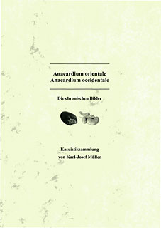 Anacardium orientale/occidentale/Karl-Josef Müller