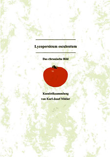 Lycopersicum esculentum - Das chronische Bild/Karl-Josef Müller