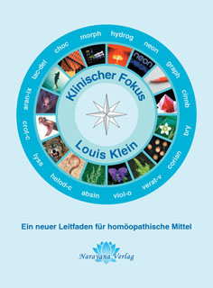 Klinischer Fokus - E-Book/Louis Klein