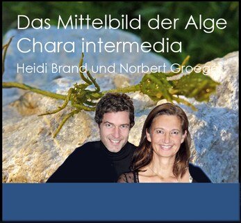 Das Heilpotenzial von Chara intermedia - 1 DVD/Heidi Brand / Norbert Groeger