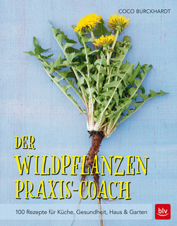 Der Wildpflanzen Praxis-Coach/Coco Burckhardt