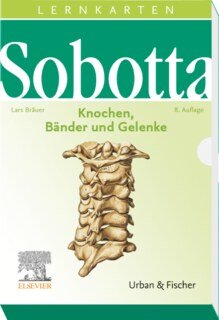 Sobotta Lernkarten Knochen, Bänder und Gelenke, Lars Bräuer