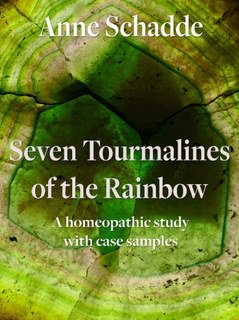 Seven Tourmalines of the Rainbow: A homeopathic study with case samples - E-Book/Anne Schadde / Jürgen Weiland