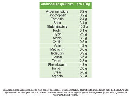 Erbsenprotein Bio 82 % - 1 kg