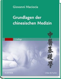 Grundlagen der chinesischen Medizin/Giovanni Maciocia