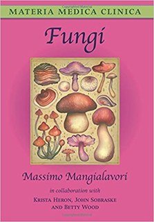 Fungi/Massimo Mangialavori