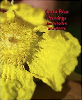 Costa Rica Provings, Jan Scholten