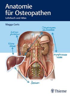 Anatomie für Osteopathen/Magga Corts