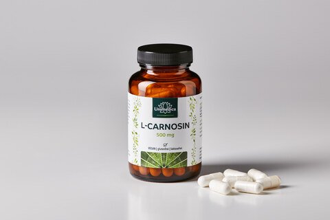Carnosin - 1000 mg pro Tagesdosis (2 Kapseln) - hochdosiert - 60 Kapseln - von Unimedica