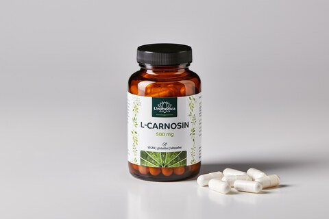 L-Carnosin - 1000 mg Tagesdosis (2 Kapseln) - hochdosiert - 60 Kapseln - von Unimedica