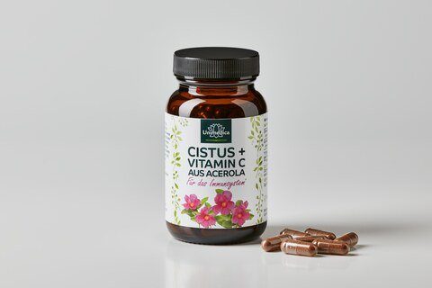 Cistus Herb plus natural Vitamin C from Acerola - with 384 mg cistus extract per capsule - 90 capsules - from Unimedica