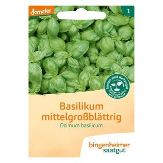 Basilikum mittelgroßblättrig - demeter-bio - bingenheimer saatgut/