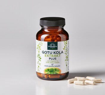 Gotu Kola Extrakt Plus - mit Vitamin C, Zink und L-Leucin - 120 Kapseln - von Unimedica