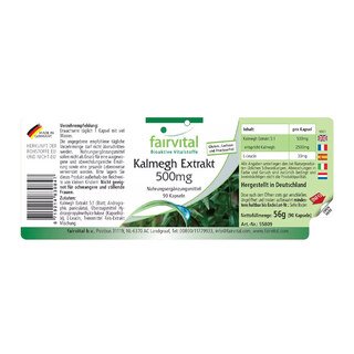Extrait de Kalmegh 500 mg - Fairvital - 90 gélules