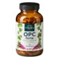 : OPC forte - 800 mg Traubenkernextrakt pro Tagesdosis - 180 Kapseln - von Unimedica
