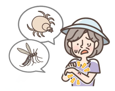 Mückenplage im Sommer? Ledum ist die erste Wahl