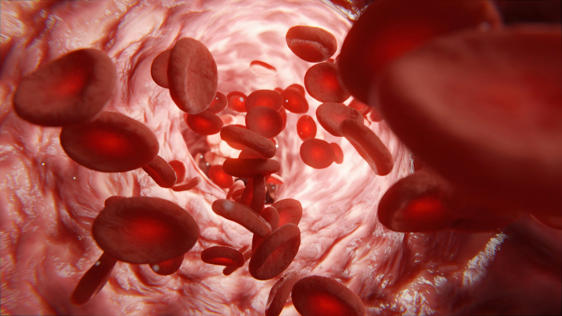 Abbildung von Roten Blutkörperchen in einem Blutgefäß.