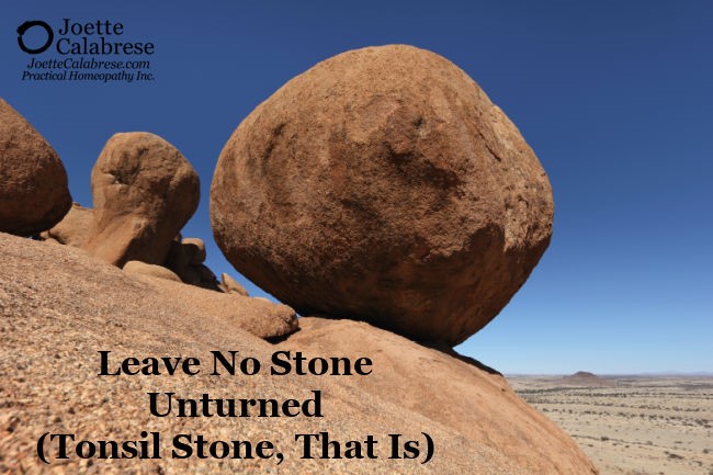 Bild von einem Stein; Bildaufschrift: Leave No Stone Unturned (Tonsil Stone, That Is)