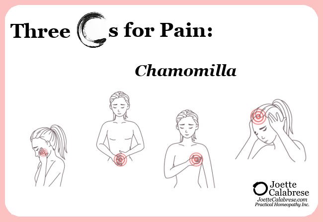 Aufschrift Titelbild "Three Cs for Pain - Chamomilla"