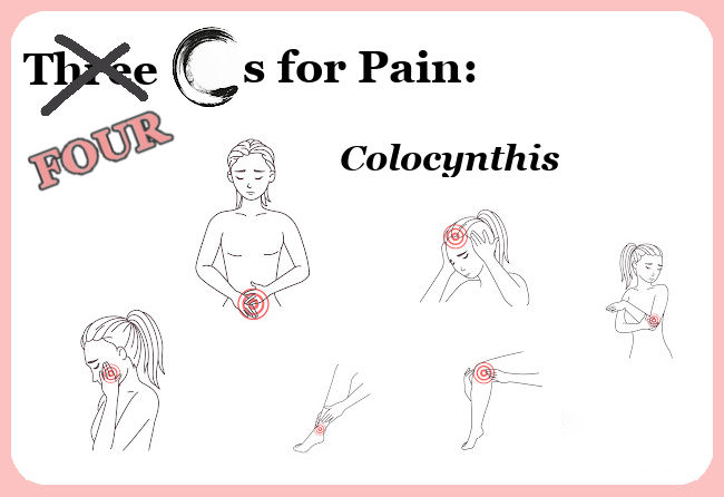 Colocynthis bei Koliken und Regelschmerzen